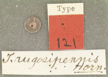 Media type: image;   Entomology 121 Aspect: labels